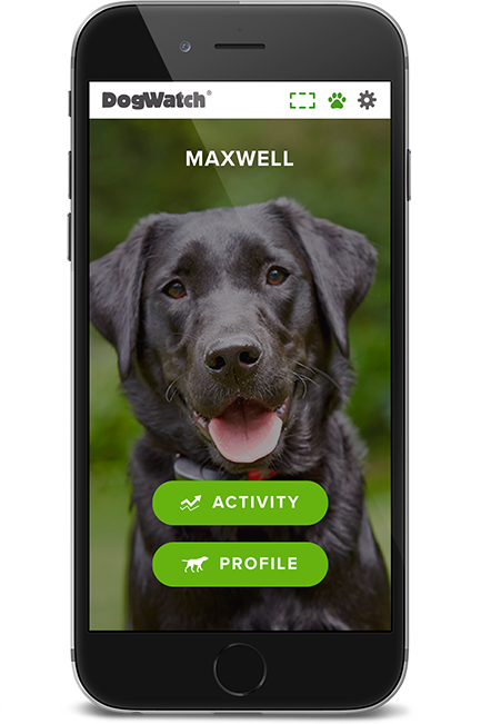 DogWatch of Upstate NY, Otego, New York | SmartFence WebApp Image